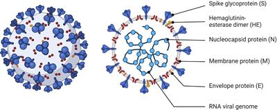 Anti-SARS-CoV-2 vaccination in people with multiple sclerosis: Lessons learnt a year in